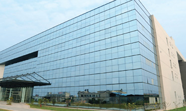 81.jpg
